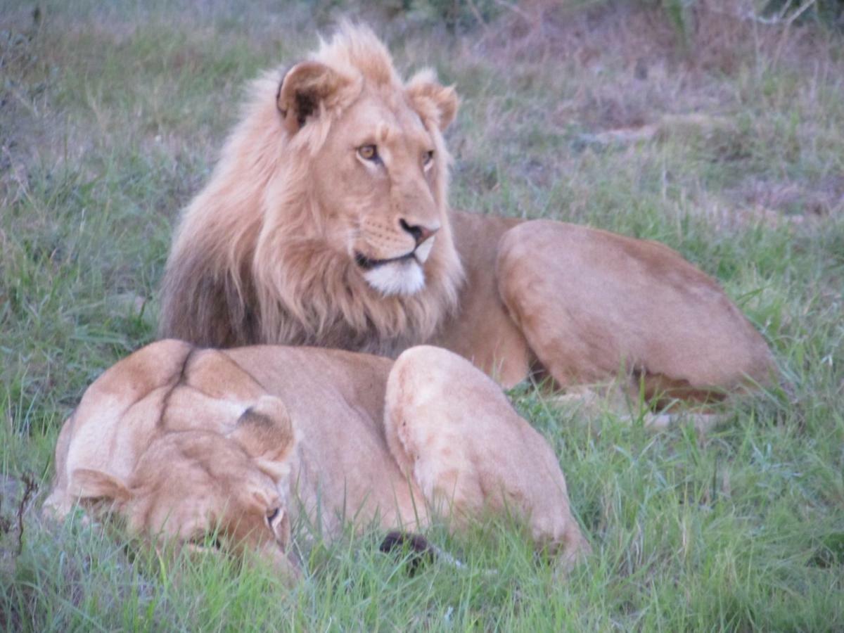 Addo Gateway Lodge Колчестер Экстерьер фото